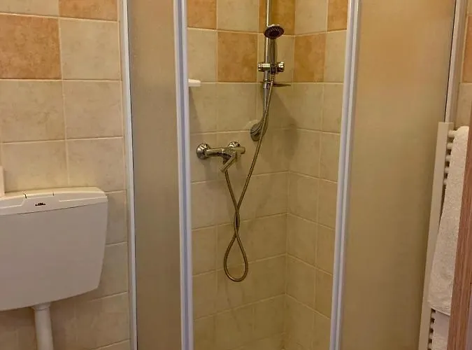 达吉西旅馆 3* 斯特雷萨